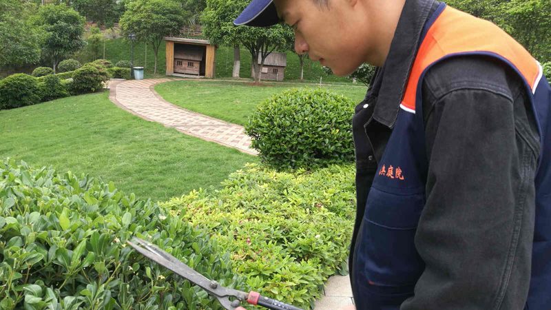 草坪铺设人工费：揭秘影响价格的关键因素