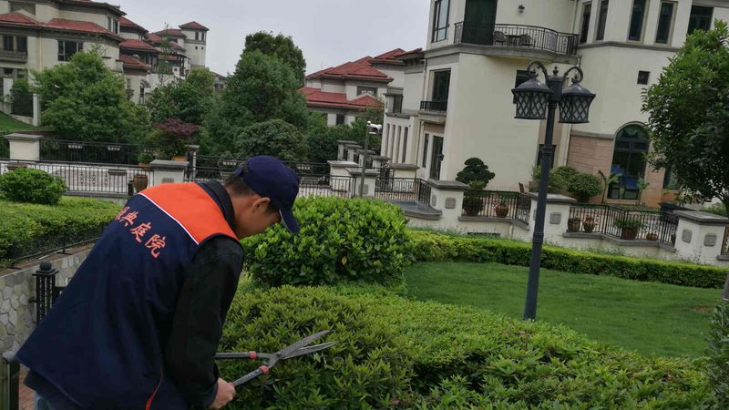 屋顶绿化基质：打造绿色屋顶的秘密武器
