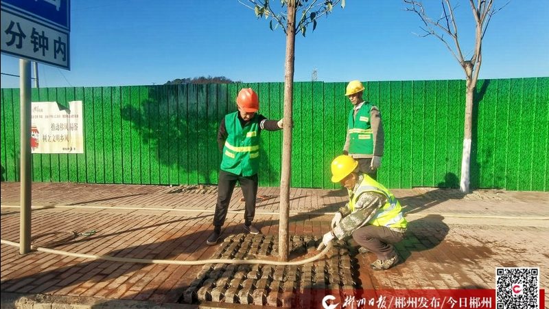 道路绿化设计规范施工图要求详解