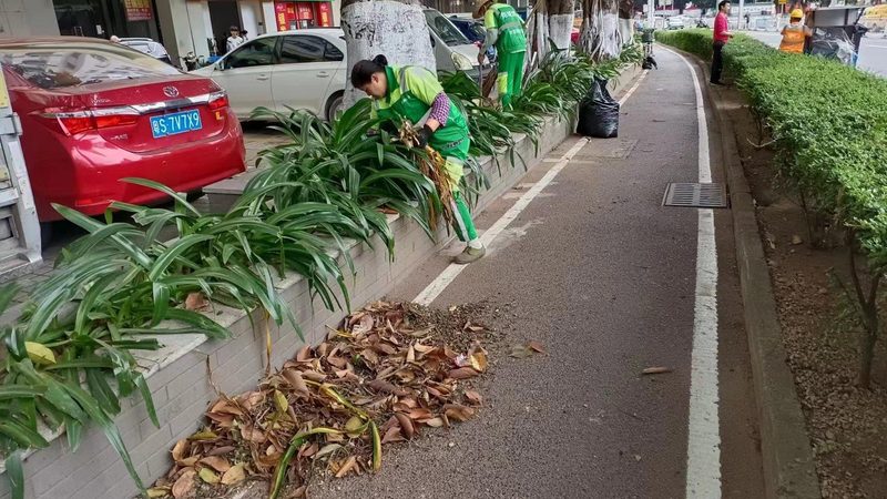 立体绿化墙的维护成本主要包括以下几个方面：