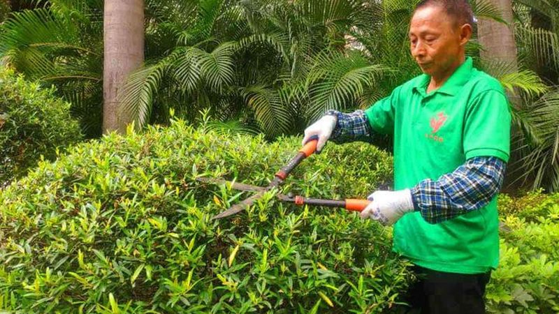 北京小区绿化养护外包价格
