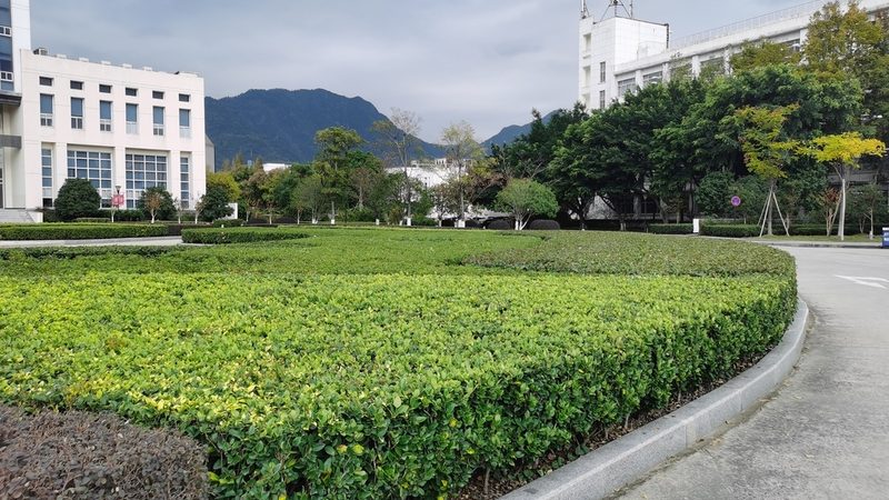 补播草籽，如何选择品种更合适？**
